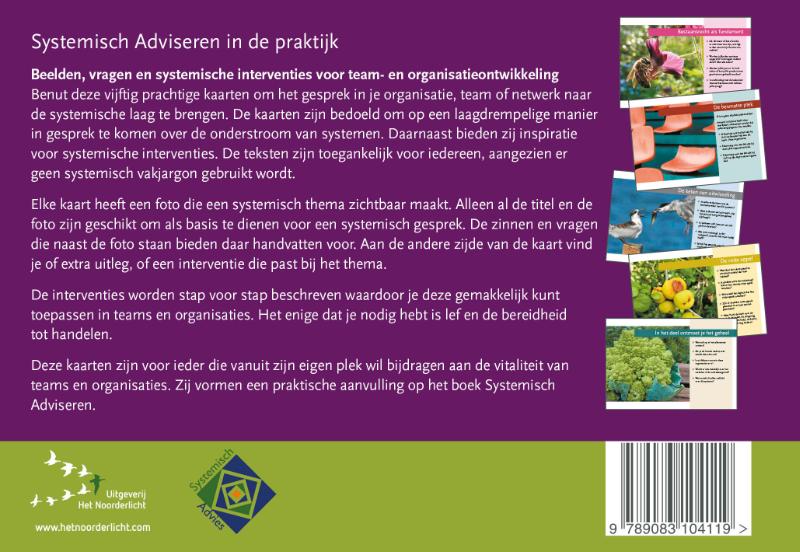 Achterkant van Systemisch Adviseren in de praktijk