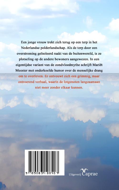 Achterkant van De overstroming