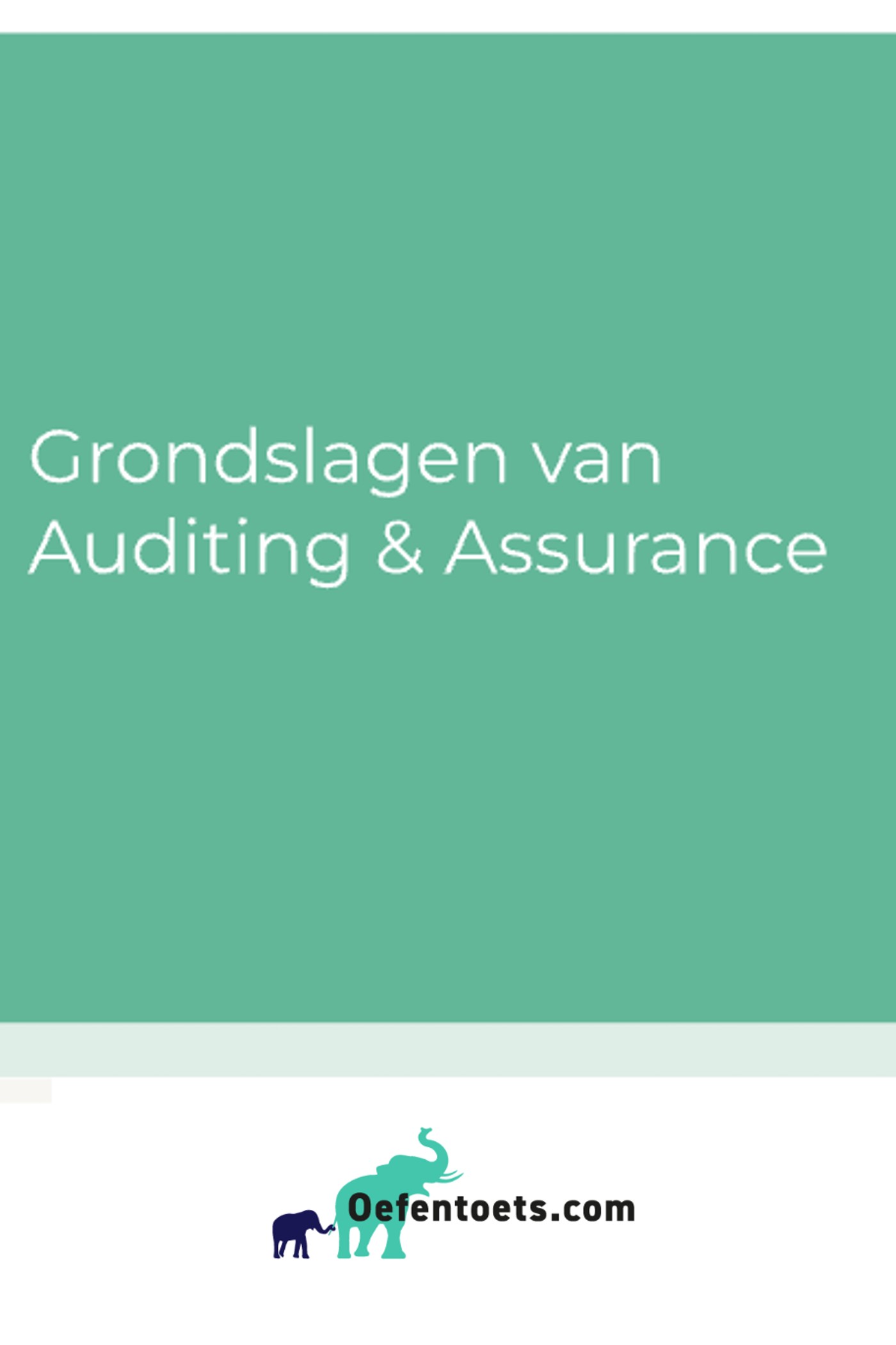 Achterkant van Grondslagen van auditing en assurance