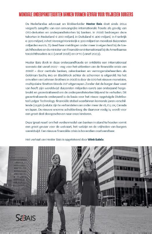 Achterkant van Worst Bank Scenario (Update)
