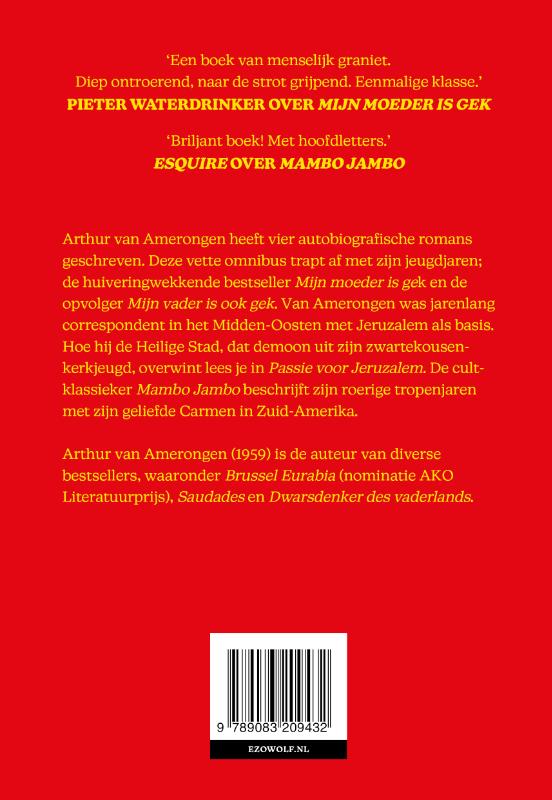 Achterkant van De vette Van Amerongen
