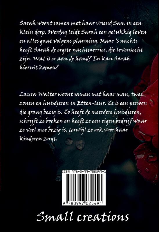 Achterkant van Verloren