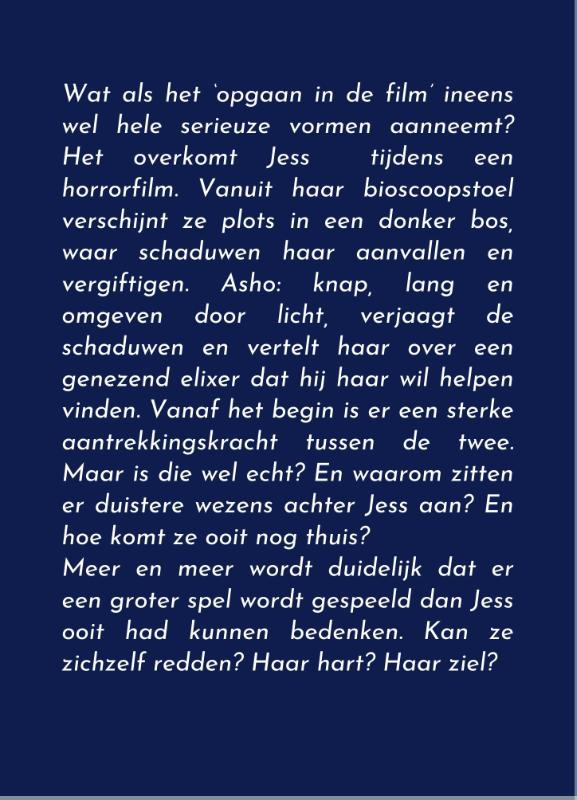 Achterkant van Het donkere licht