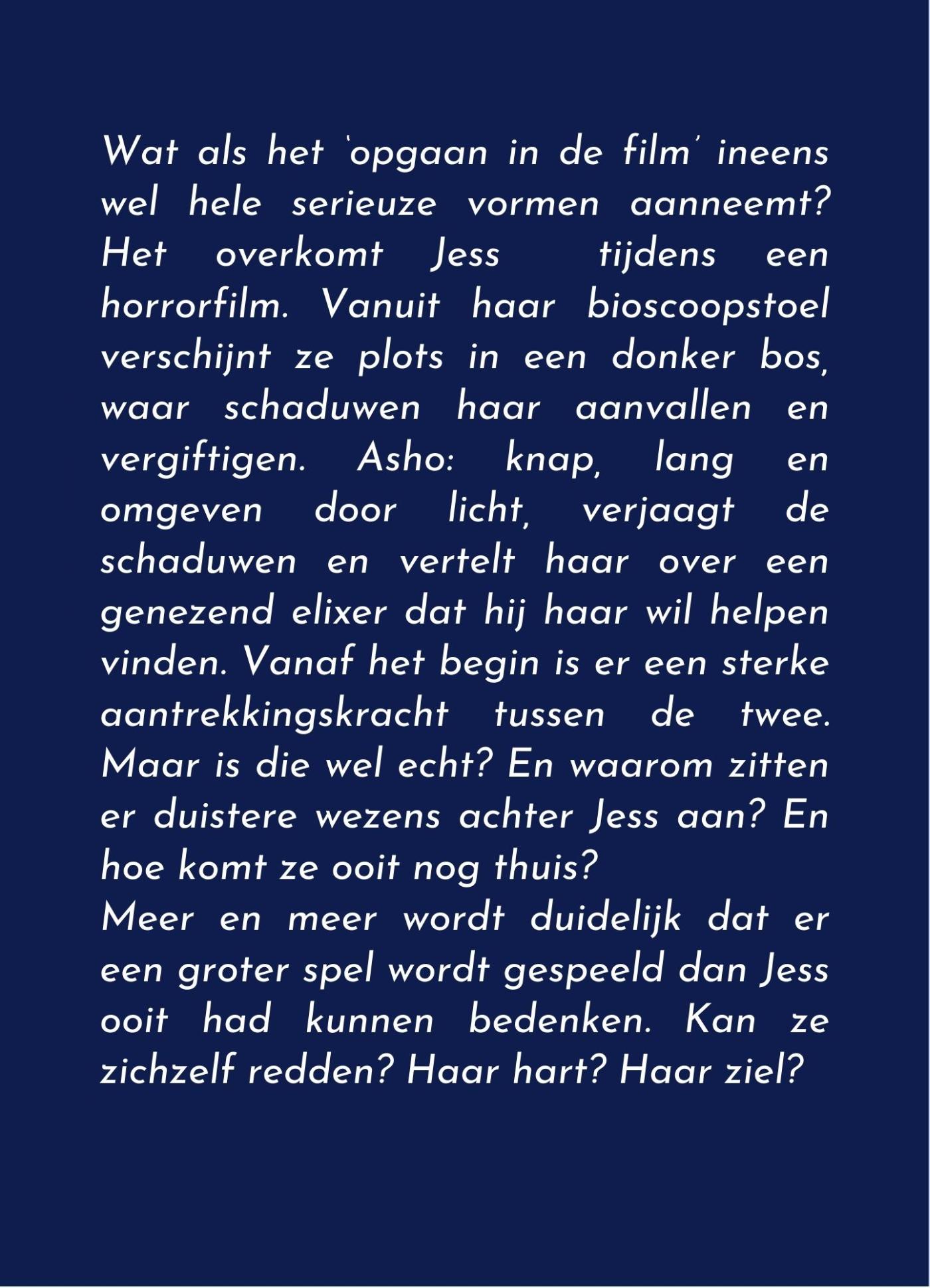 Achterkant van Het donkere licht