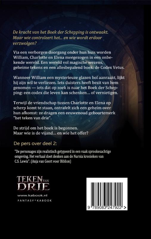 Achterkant van Teken van Drie 2 - Teken van Drie en de Codex Beschermers
