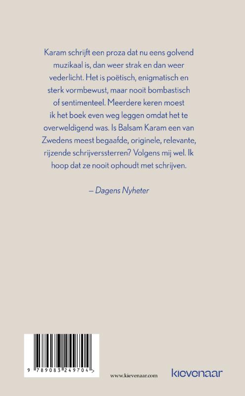 Achterkant van De singulariteit