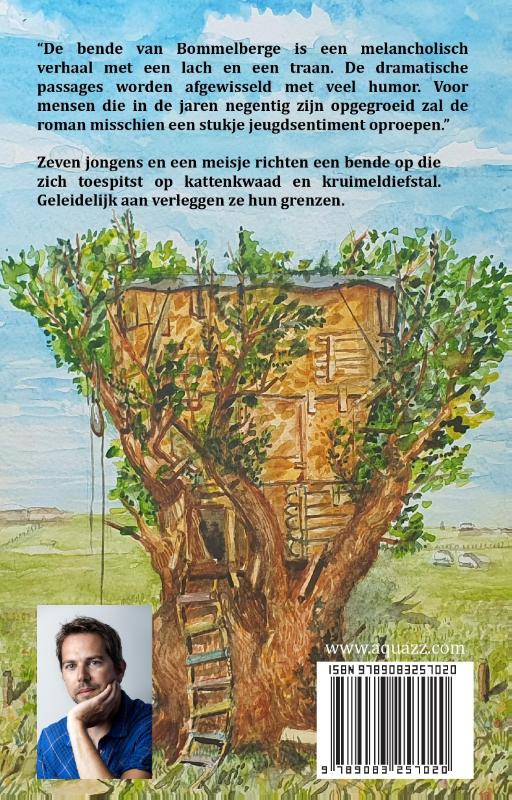 Achterkant van De bende van Bommelberge
