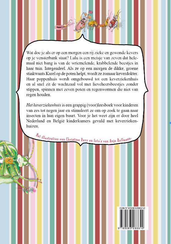 Achterkant van Het Keverziekenhuis