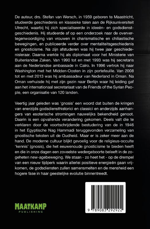 Achterkant van De gnostisch-occulte vloedgolf