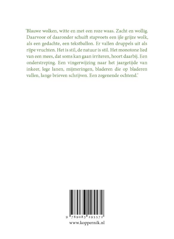 Achterkant van Ochtenden