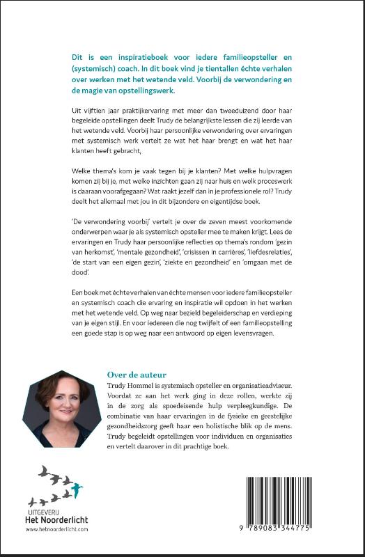 Achterkant van De verwondering voorbij