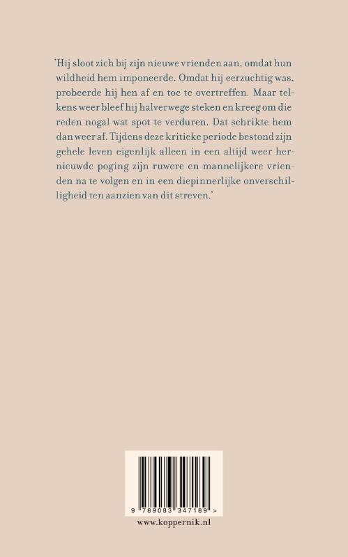 Achterkant van De verwarring van een jonge Törless
