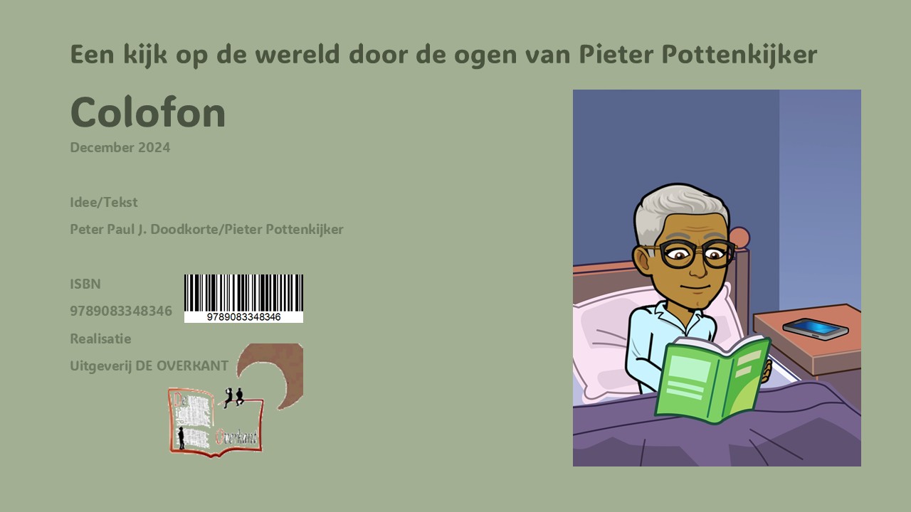 Achterkant van PRIKKELENDE OVERDENKSELS