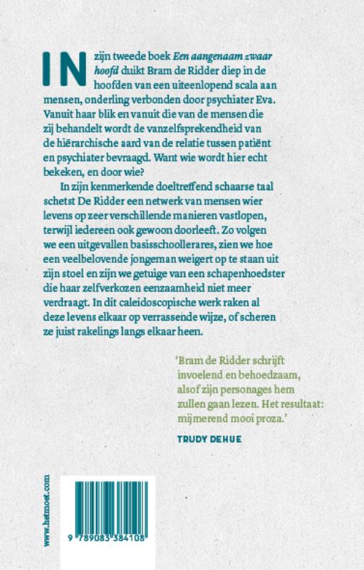 Achterkant van Een aangenaam zwaar hoofd