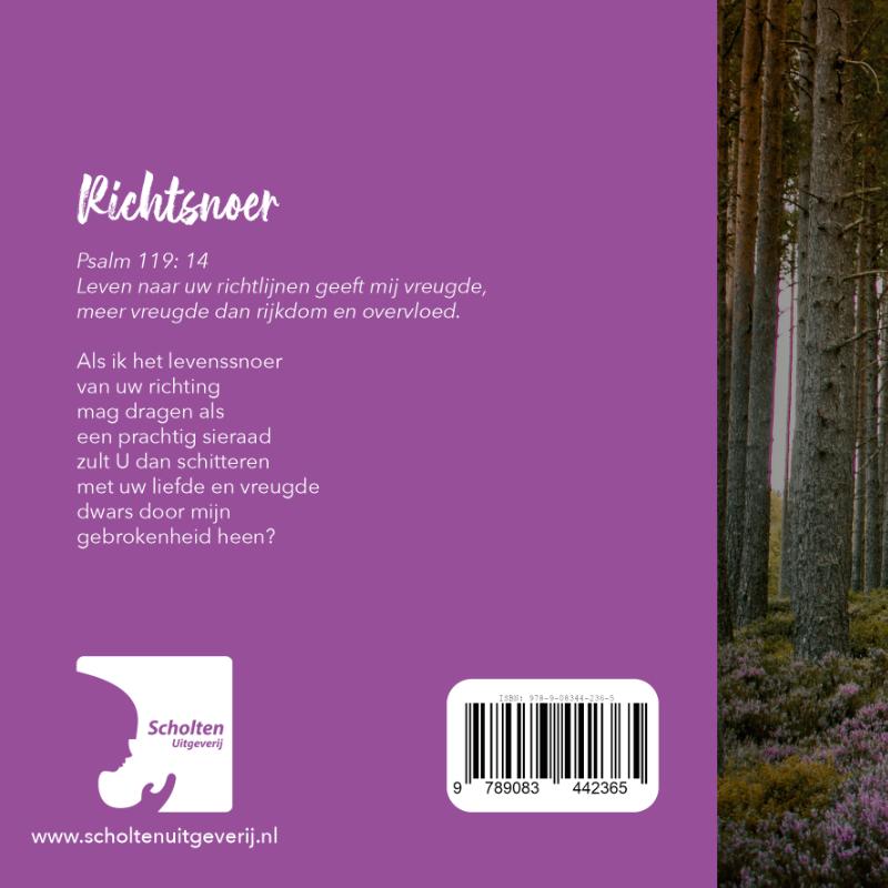 Achterkant van Richtsnoer