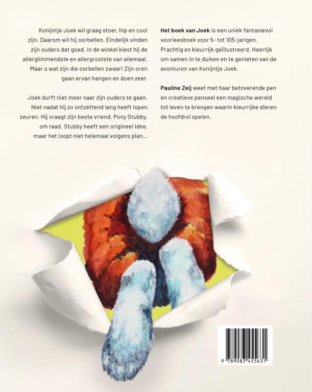 Achterkant van Het boek van Joek