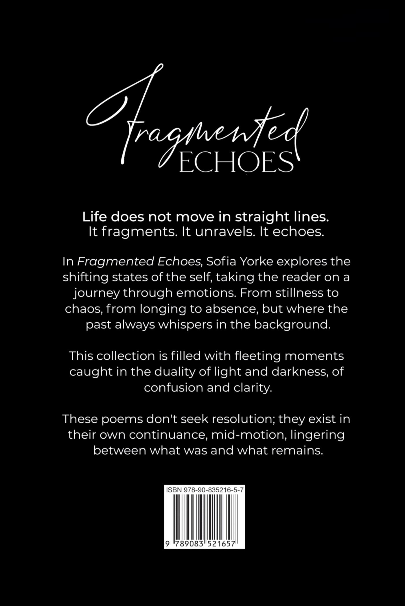 Achterkant van Fragmented Echoes