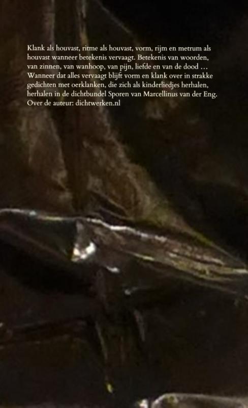 Achterkant van Sporen