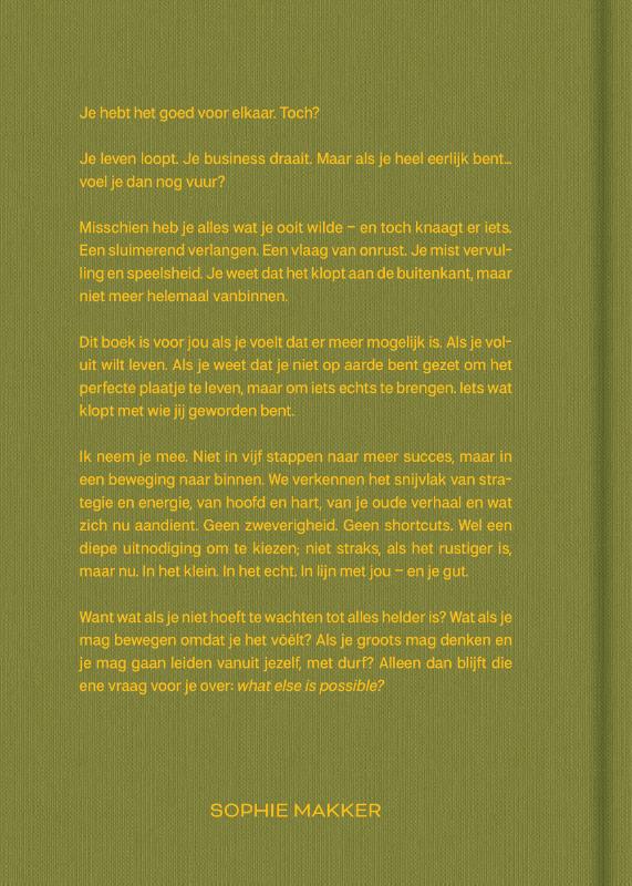 Achterkant van What else is possible