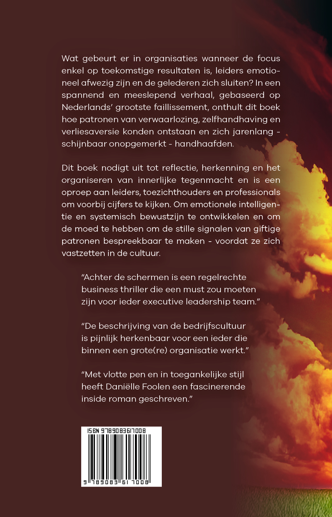 Achterkant van Achter de schemen - Na fraude en faillissement