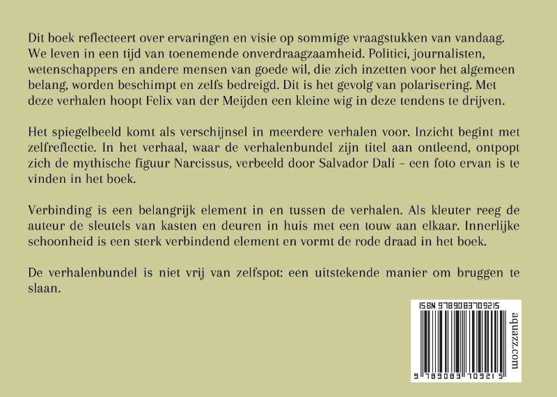 Achterkant van Schoonheid in reflectie