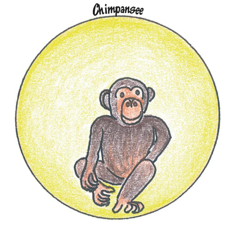 Achterkant van Beest8ig set