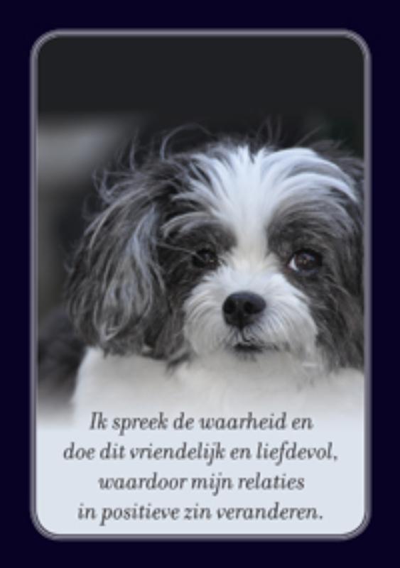 Achterkant van Spiegelkaarten