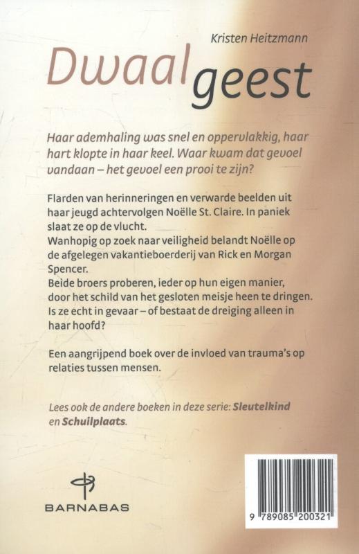 Achterkant van Dwaalgeest