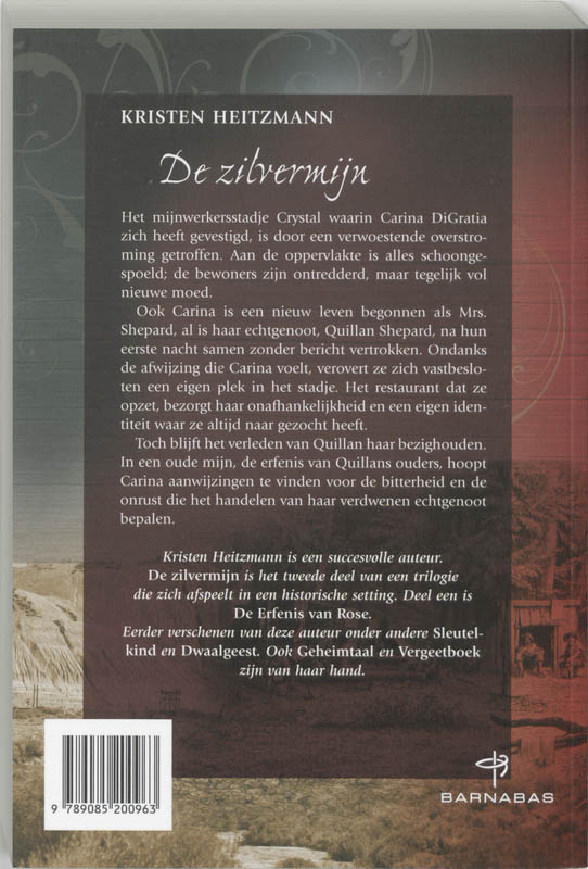 Achterkant van De zilvermijn