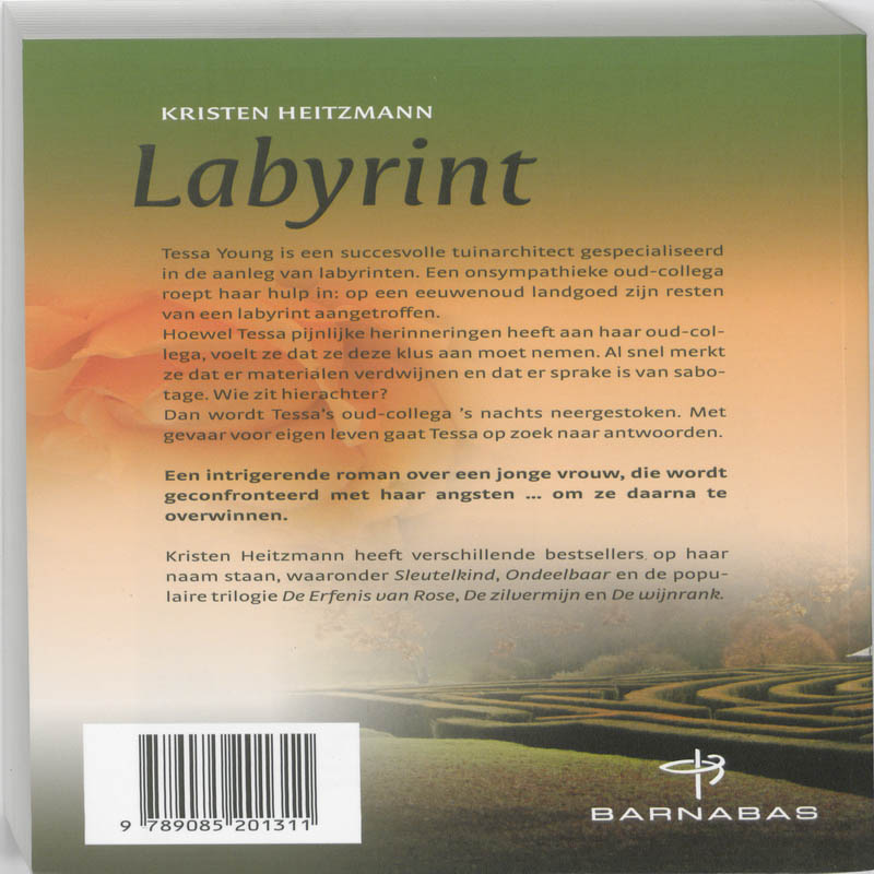Achterkant van Labyrint