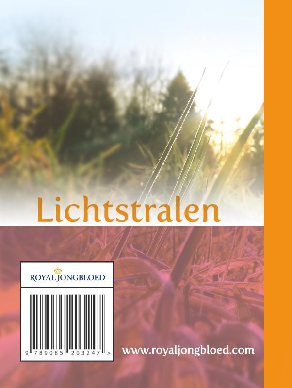 Achterkant van 2020