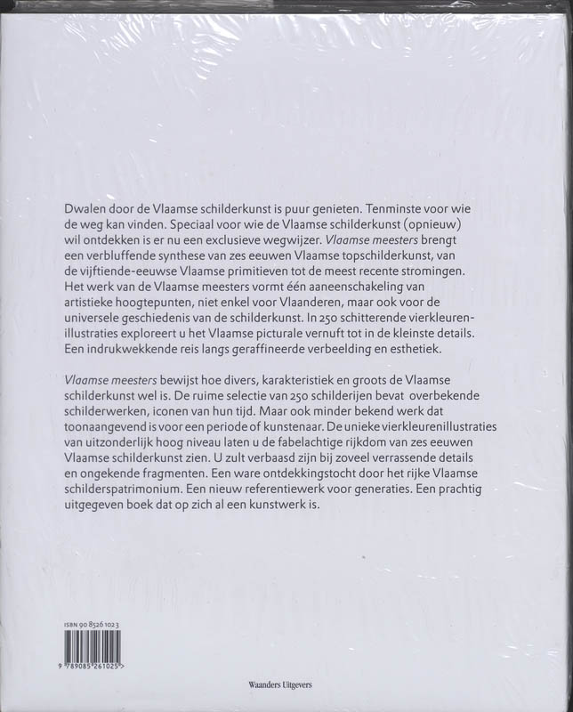Achterkant van Vlaamse meesters