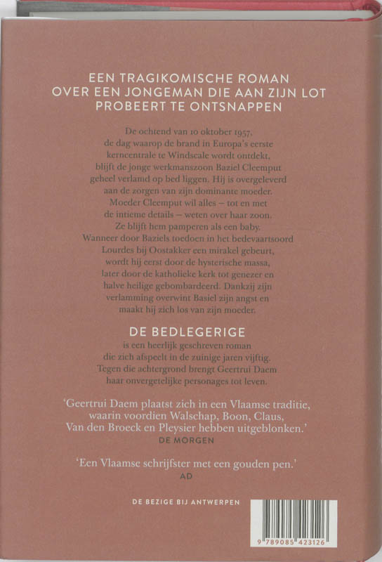 Achterkant van De bedlegerige