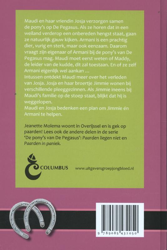 Achterkant van Armani, de zwarte hengst