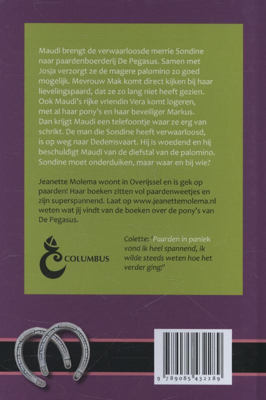 Achterkant van Dreiging op de Pegasus
