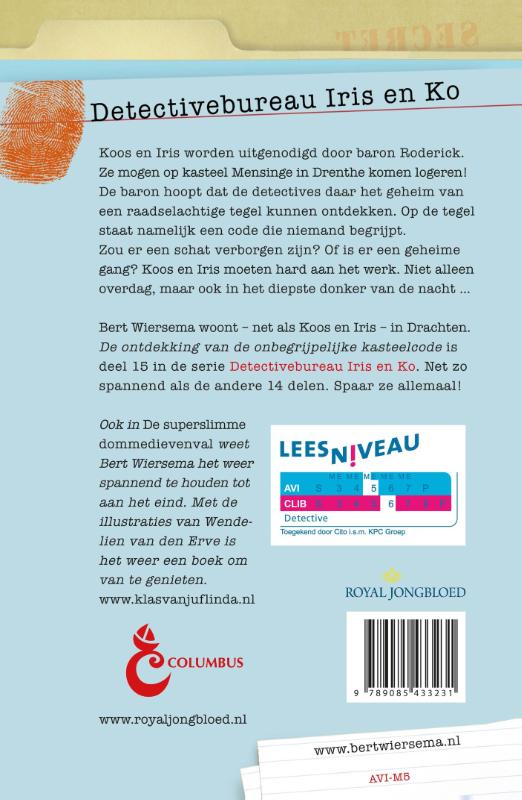 Achterkant van De ontdekking van de onbegrijpelijke kasteelcode