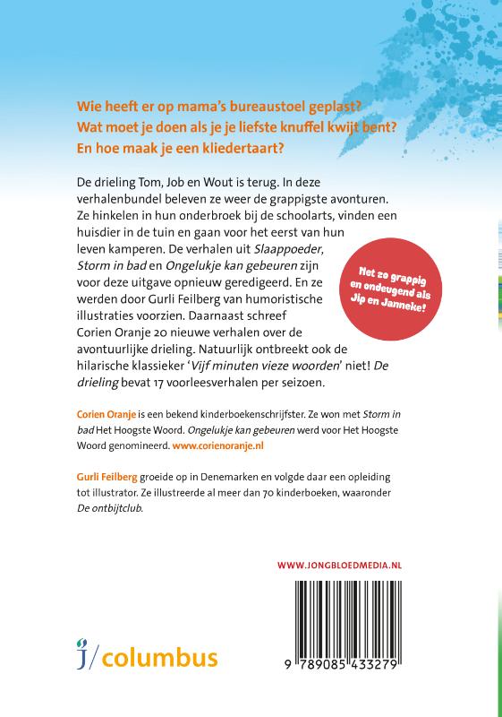 Achterkant van De drieling