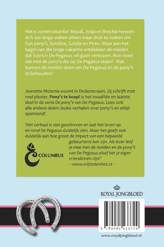 Achterkant van Pony's te koop!
