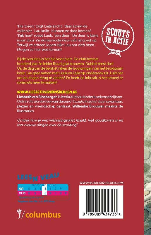 Achterkant van Het raadsel van de ringen