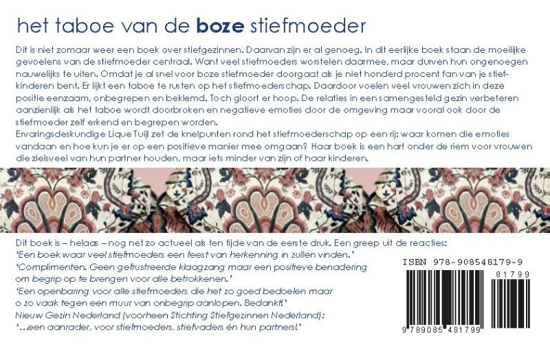 Achterkant van Het taboe van de boze stiefmoeder