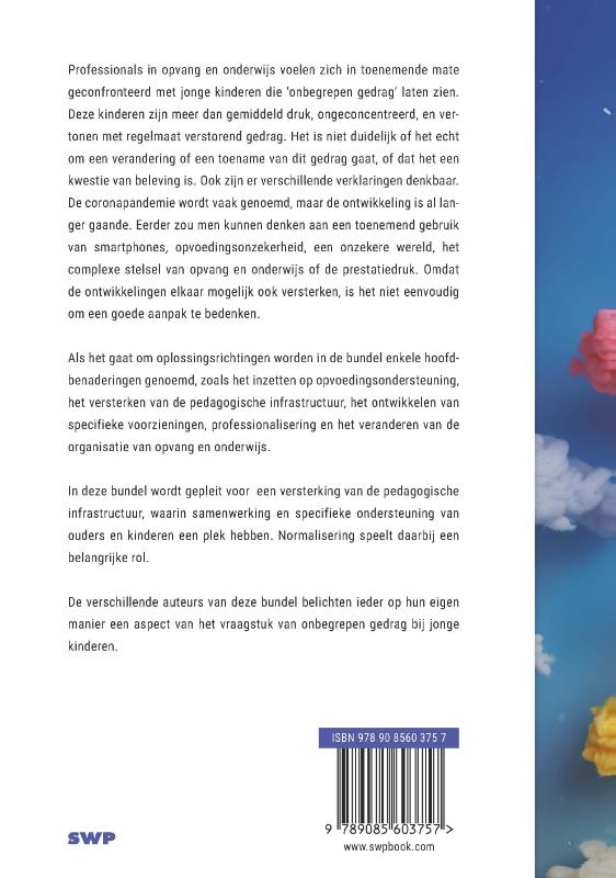 Achterkant van Onbegrepen gedrag bij jonge kinderen
