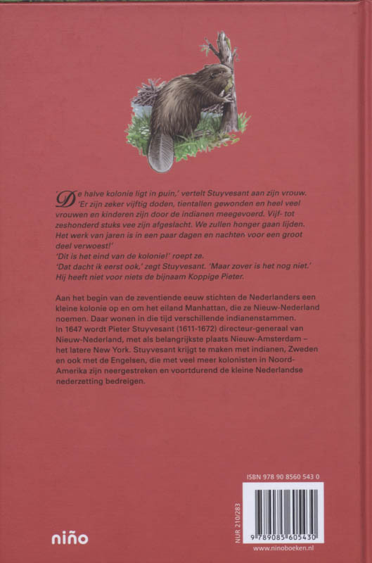 Achterkant van Een ordeloze bende