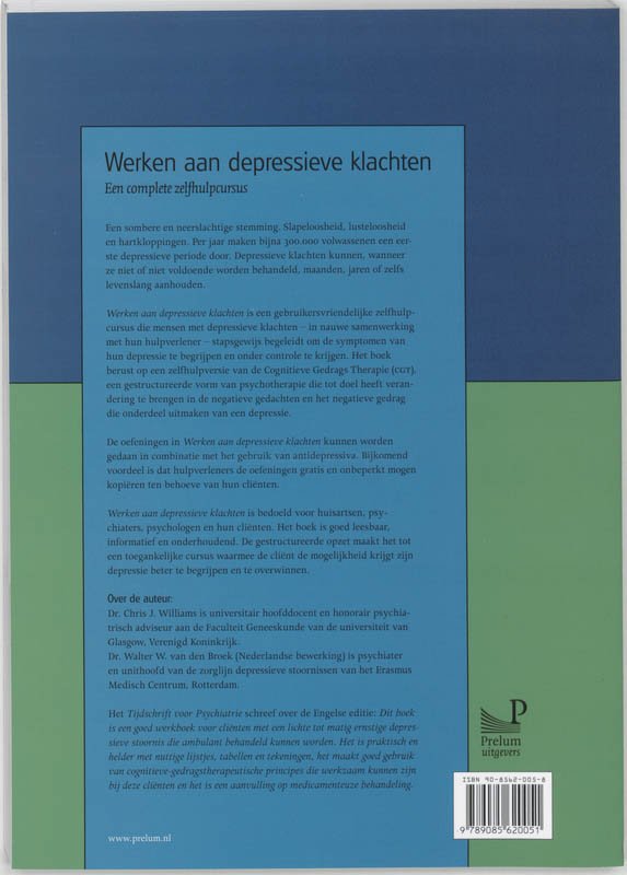 Achterkant van Werken aan depressieve klachten