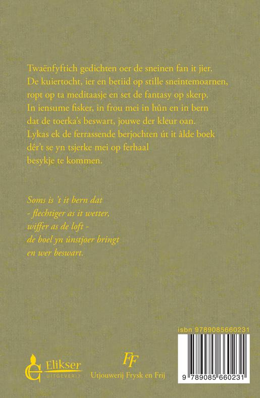 Achterkant van De sneinen