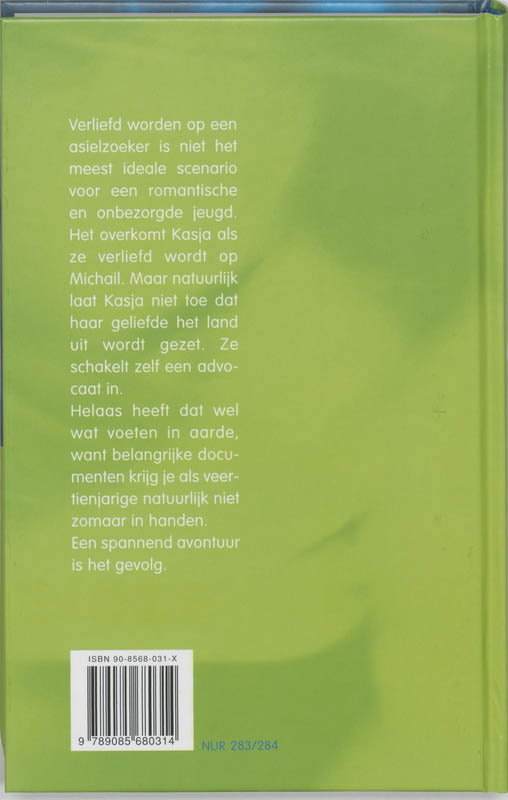 Achterkant van De grenzeloze kus