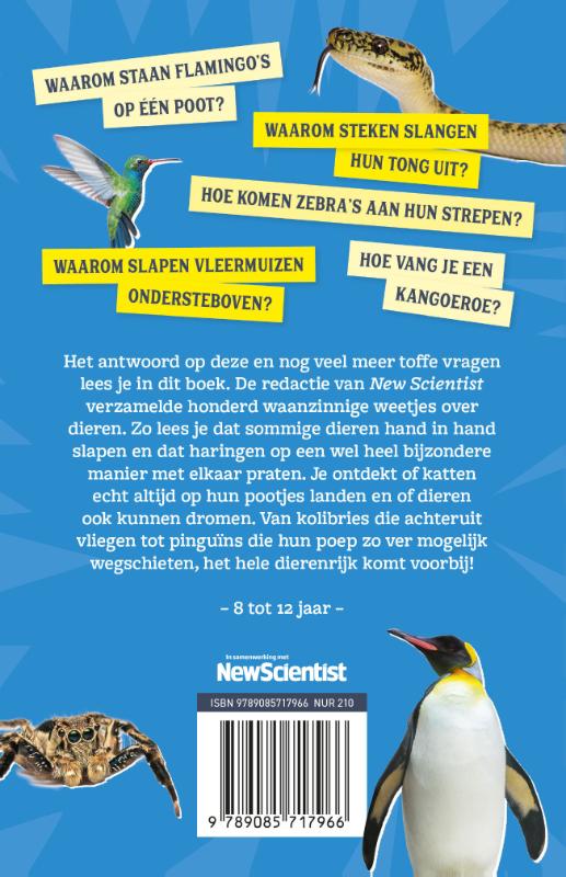 Achterkant van Hoe vang je een kangoeroe?