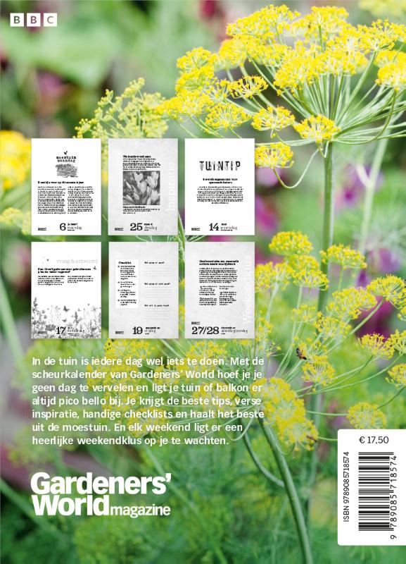 Achterkant van 2025
