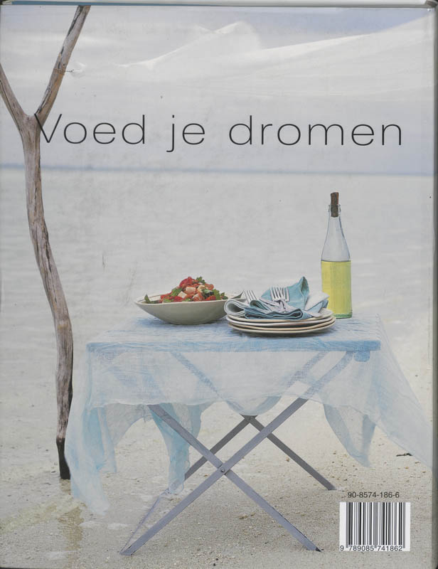 Achterkant van De Verleidelijke keuken