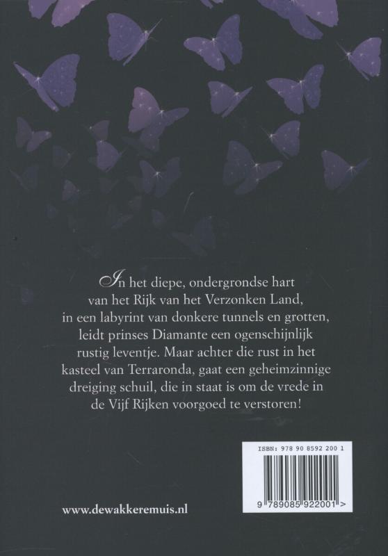 Achterkant van De schaduwprinses