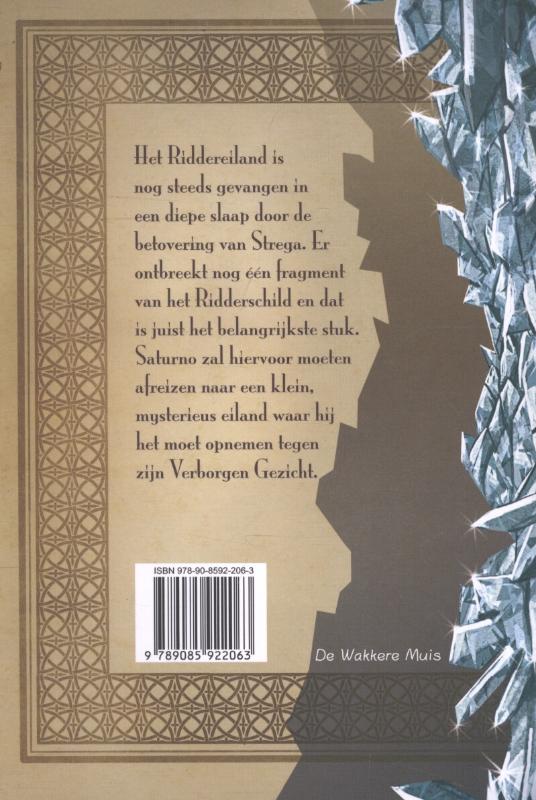 Achterkant van Het geheim van de ridders